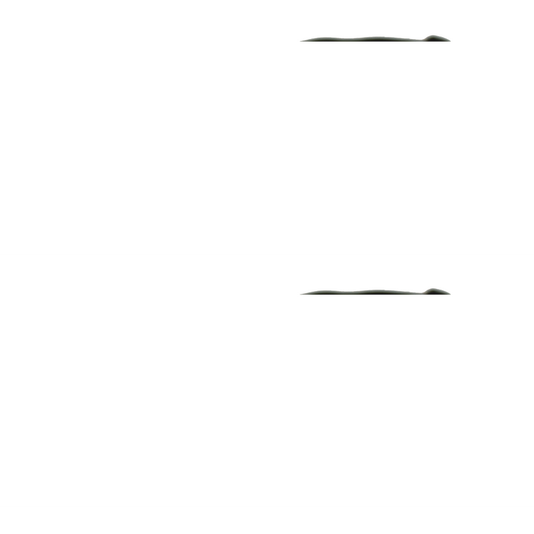 Battle Pro's Protective Eyewear (No Insert) (Smoked-Green)