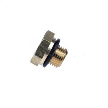 BDC P6 Plug Screw 1/8 NPT with seal-0